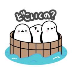 [LINEスタンプ] シマナガシシマエナガ