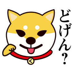 [LINEスタンプ] ゴリゴリ久留米弁のシバ犬さん。