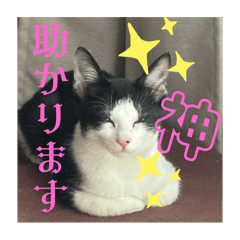 [LINEスタンプ] 終太郎スタンプ2