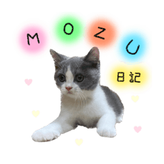 [LINEスタンプ] MOZU日記①