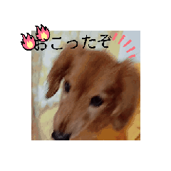 [LINEスタンプ] ポンコツチビザウルス