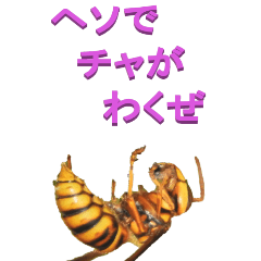 [LINEスタンプ] 江戸っ子なアシナガバチ1ーBIG