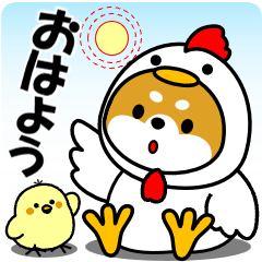 [LINEスタンプ] 飛び出す！豆柴の日常スタンプ