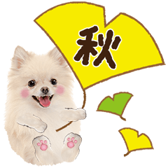 [LINEスタンプ] かわいい犬たち❤️よく使う秋❤︎ぽめ