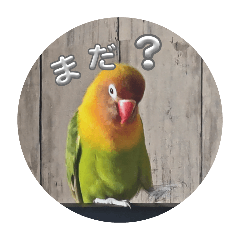 [LINEスタンプ] 毎日使える、お楽しみいっぱい動物