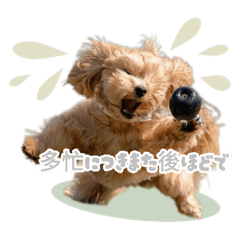 [LINEスタンプ] まんまるまる丸