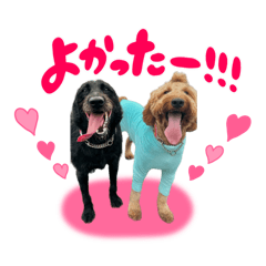 [LINEスタンプ] スラッシュ＆ブラン④
