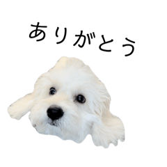 [LINEスタンプ] はるのつむじ その3