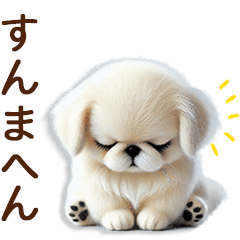 [LINEスタンプ] 関西弁やで♡羊毛ペキニーズの家族連絡