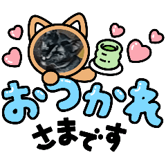 [LINEスタンプ] カワイイニャンズ❤️の画像（メイン）