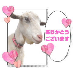[LINEスタンプ] 除草隊のかわいこちゃんすたんぴ♪