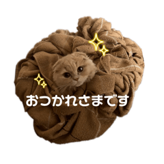 [LINEスタンプ] えれんの猫すたんぷ