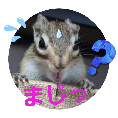 [LINEスタンプ] みんなと一緒28