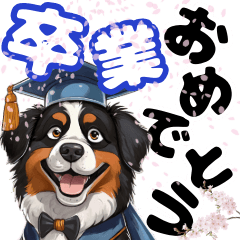 [LINEスタンプ] お祝いに使える可愛いバーニーズ