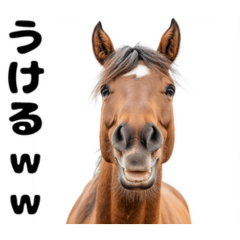 [LINEスタンプ] 煽ってくる馬