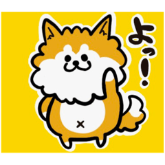 [LINEスタンプ] 秋田犬モフのスタンプ