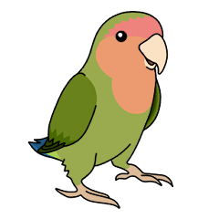 [LINEスタンプ] コザクラインコ好きスタンプ1