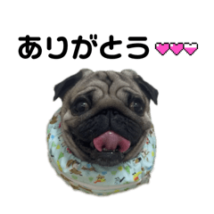 [LINEスタンプ] のるくんだよ4の画像（メイン）