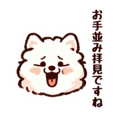 [LINEスタンプ] ひねくれサモエド