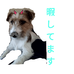 [LINEスタンプ] ジャックのマイク3の画像（メイン）