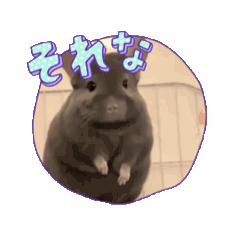 [LINEスタンプ] かわいいアニマル系スタンプ