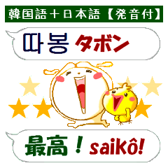 [LINEスタンプ] 韓国語と日本語で感情豊かに（発音付き）