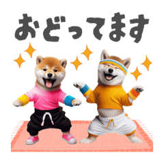 [LINEスタンプ] 【日常会話】ズンシバ！ズンバが好きな柴犬