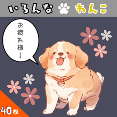 [LINEスタンプ] いろんな わんこ