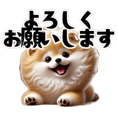 [LINEスタンプ] モフ犬の敬語＆よいしょスタンプ