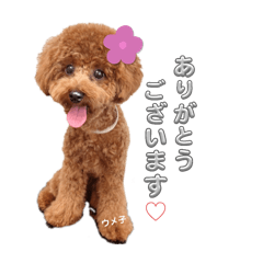 [LINEスタンプ] ウメ子の日常スタンプ2