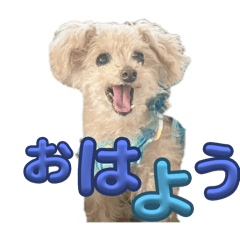 [LINEスタンプ] ろくさくのスタンプ