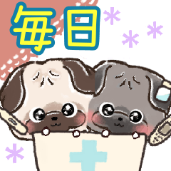 [LINEスタンプ] 愛犬★パグdeごあいさつ【毎日】の画像（メイン）