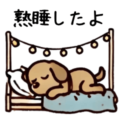 [LINEスタンプ] ゆる茶わんこ（日常生活編）