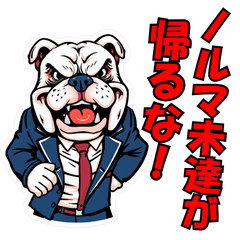 [LINEスタンプ] 【社会人向け】パワハラするブルドッグ上司の画像（メイン）