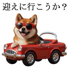 [LINEスタンプ] シブ犬【家族連絡】