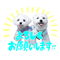 [LINEスタンプ] わんはむ日記