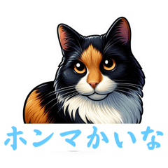 [LINEスタンプ] なにわドラネコ