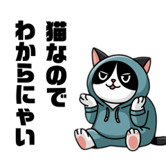 [LINEスタンプ] パーカーを着たネコ