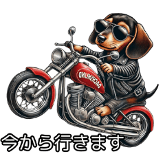 [LINEスタンプ] ダックスフンドの日常使いスタンプです