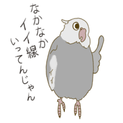 [LINEスタンプ] オカメインコのかわいさ