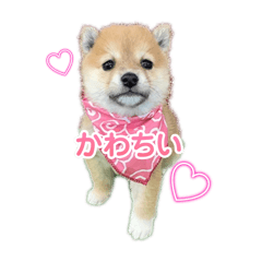 [LINEスタンプ] 悶絶うーさんスタンプ