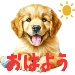 [LINEスタンプ] もふもふゴールデンリトリバーの子犬