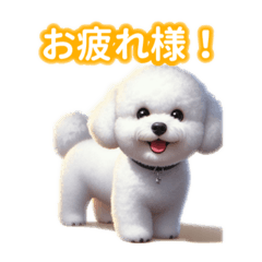 [LINEスタンプ] とにかくかわいい ビションフリーゼ