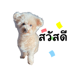 [LINEスタンプ] タイ語でラムちゃ