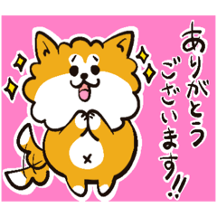 [LINEスタンプ] 秋田犬モフの日常使いスタンプ