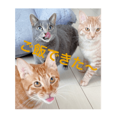 [LINEスタンプ] ちゃぴもかすみこ第3弾