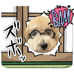 [LINEスタンプ] キキなのだ