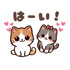 [LINEスタンプ] かわいい猫たちの日常スタンプ 2