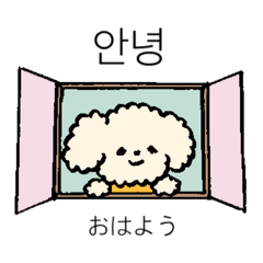 [LINEスタンプ] トイプーちゃんとハングルを