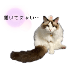 [LINEスタンプ] ねろたんスタンプ12